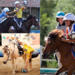 Horseball Misto Categorie