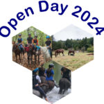 Open Day 2024